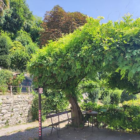 Villa Antonella, App. Vittoria Tavernerio Екстериор снимка