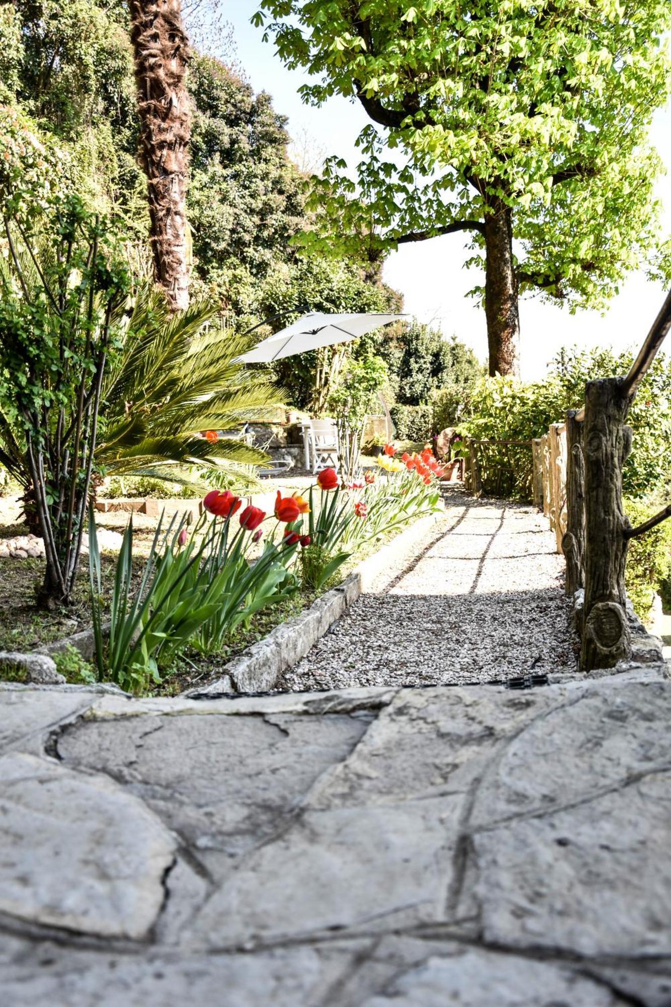 Villa Antonella, App. Vittoria Tavernerio Екстериор снимка