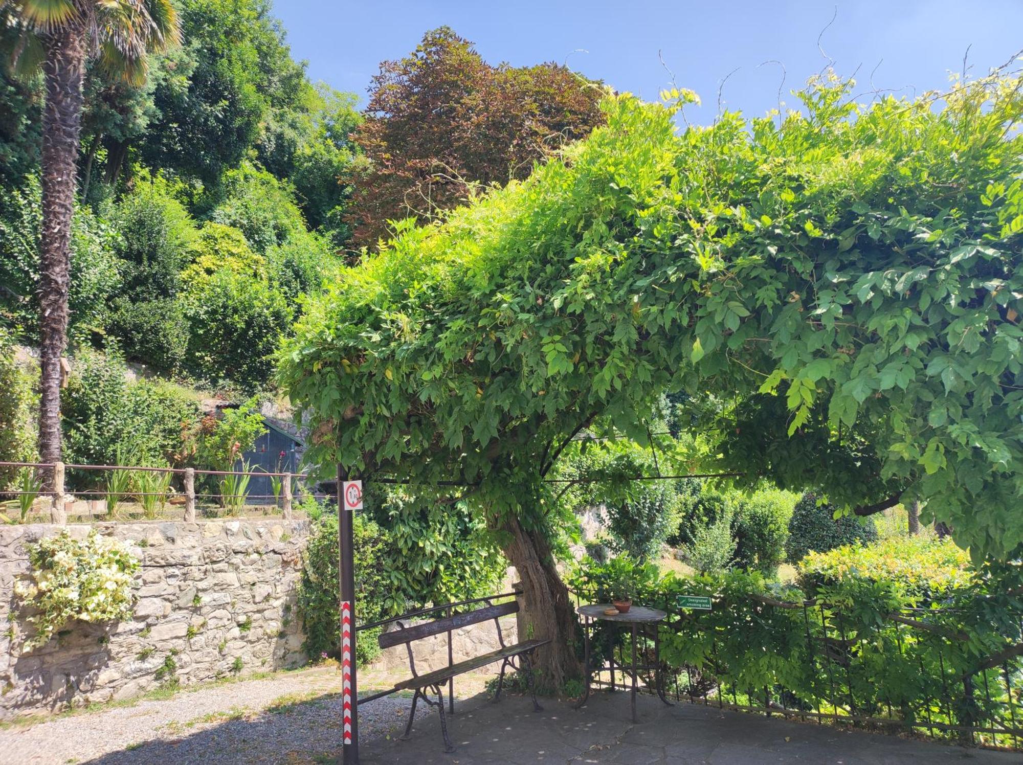Villa Antonella, App. Vittoria Tavernerio Екстериор снимка